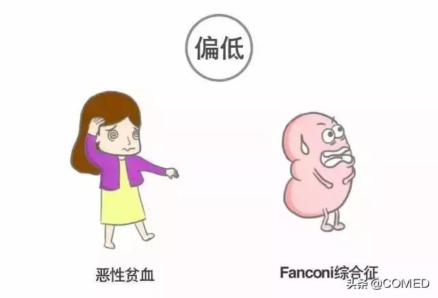 健体检结果智能解读助手