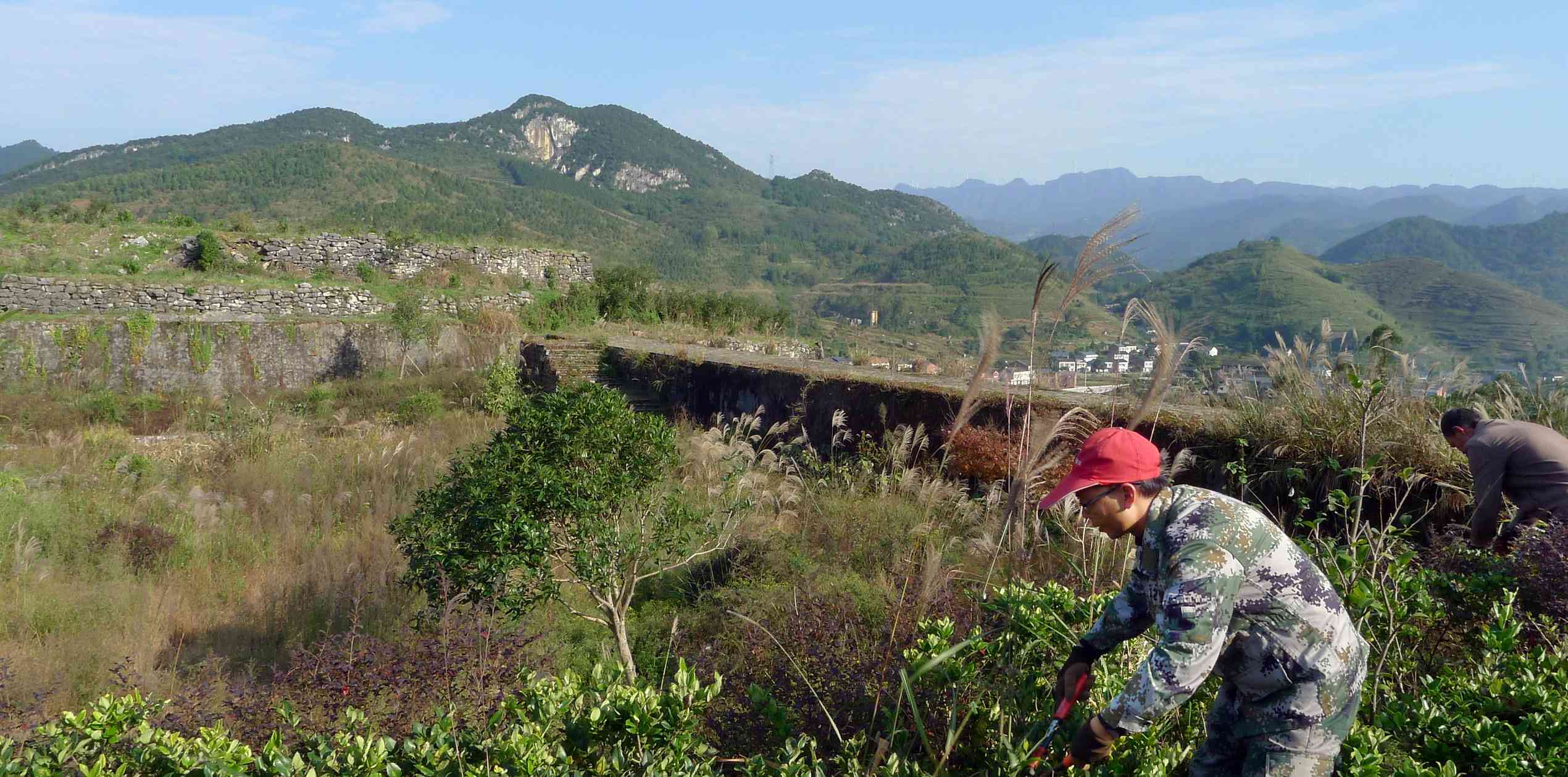 全面解读工益性岗位：含义、类型、申请条件与就业前景