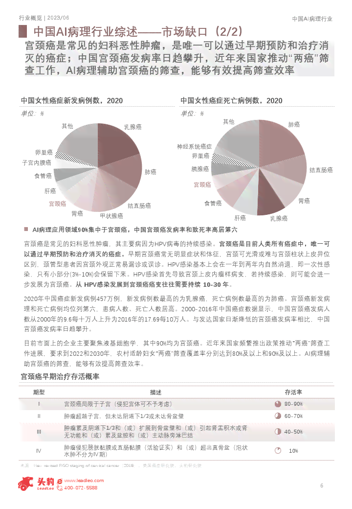 '滇南医疗AI辅助病理报告在线查询平台'