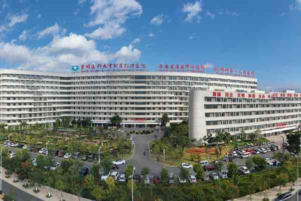云南省滇南中心医院体检中心报告怎么查看及挂号方式与体检报告查询指南