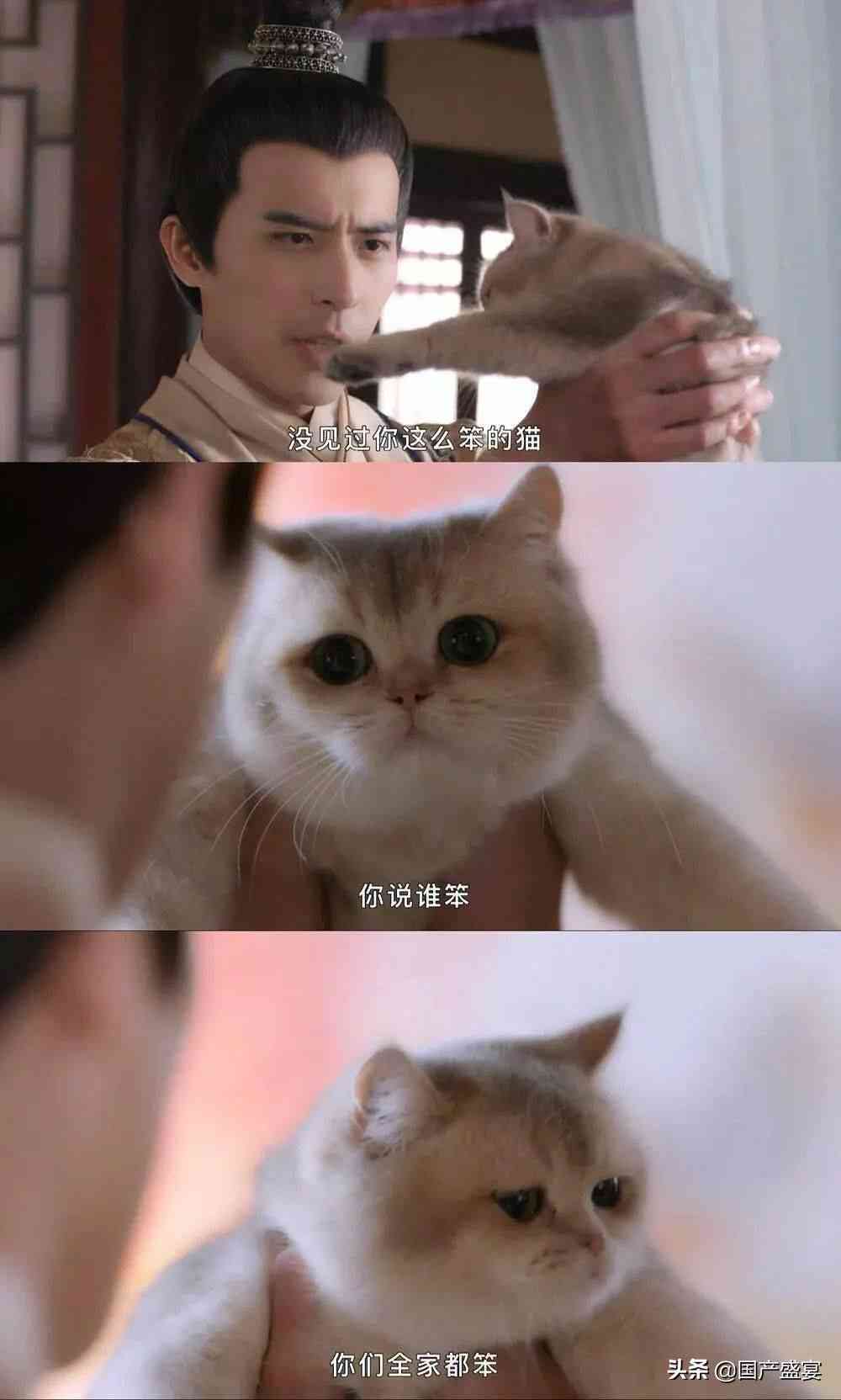 AI宠物拟人化文案创作指南：全面涵写作技巧与用户关注要点