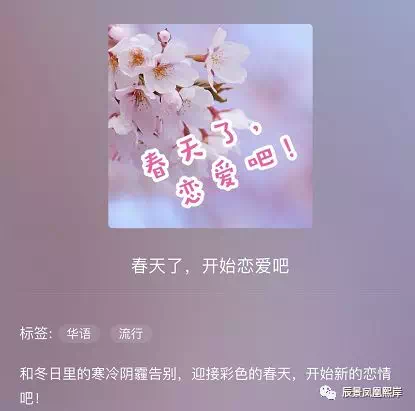 馨告白：融入关键词的爱的朋友圈甜蜜短句集锦