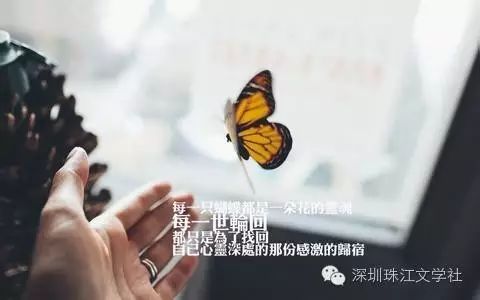 馨告白：融入关键词的爱的朋友圈甜蜜短句集锦