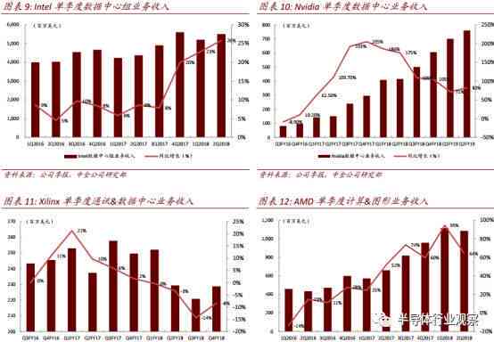 ai芯片公司研究报告：范文、前景分析与公司概览