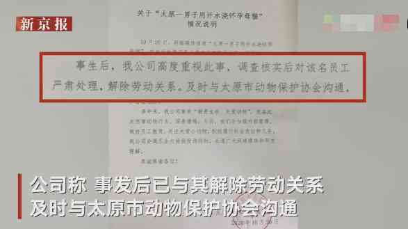 工伤认定已完成但未评级：如何处理及后续关注事项详解