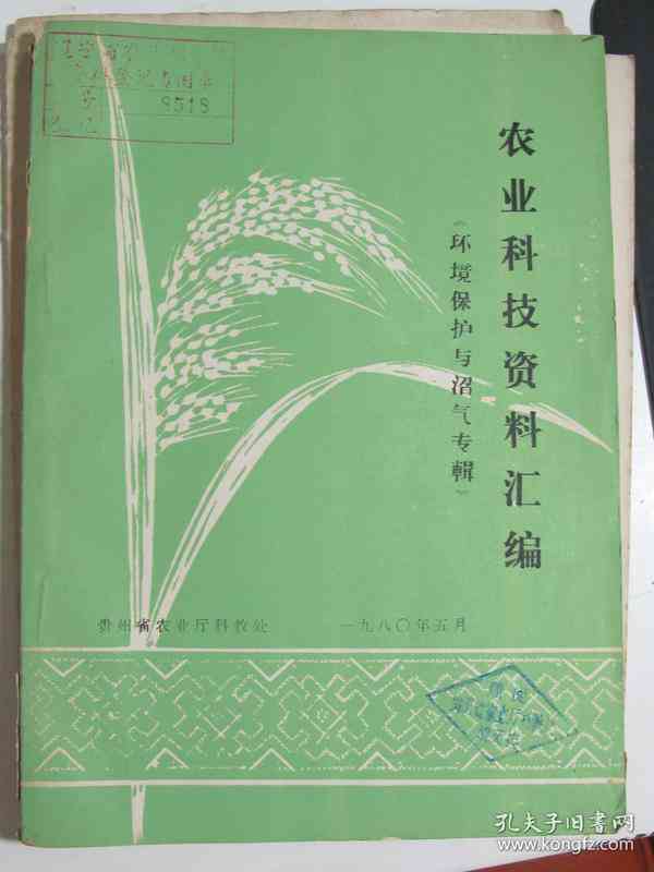 AI变脸技术赋能动漫创作：全新文案素材汇编与创意灵感集锦