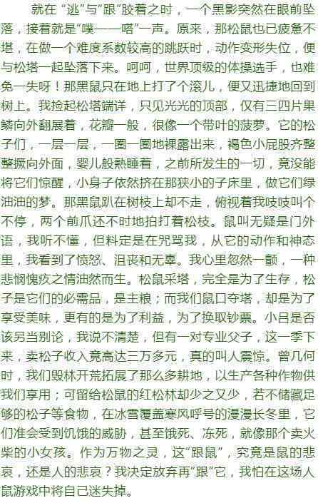 内容创作的主要形式有哪些：类型、种类及类别概述