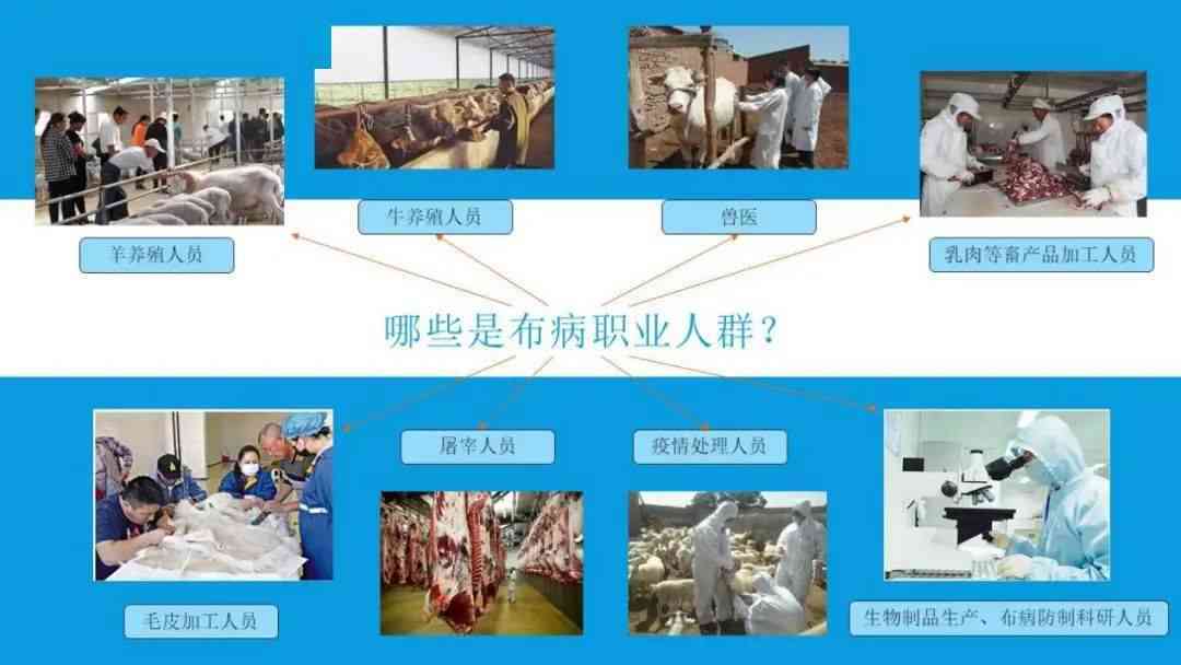 布病归类：工伤还是职业病？详解劳动者权益保护
