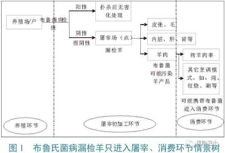 布氏菌病赔偿新规：详述病患赔偿标准与流程