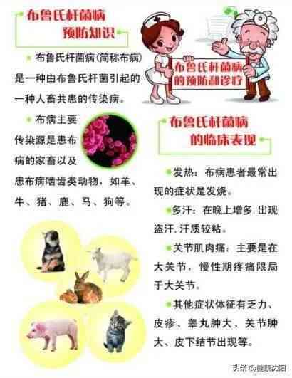 布氏菌病赔偿新规：详述病患赔偿标准与流程