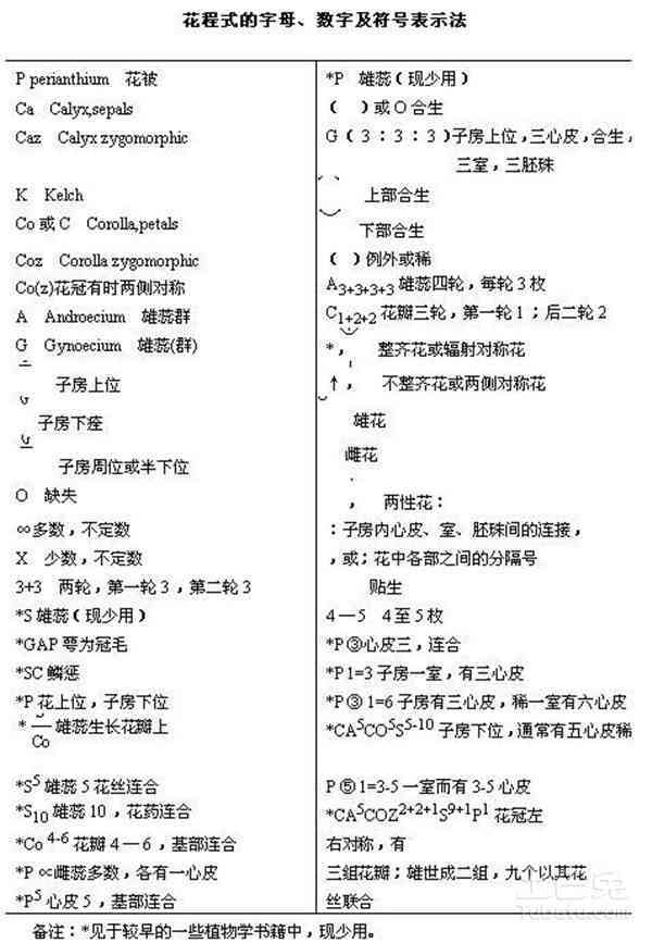 带病回乡是否构成残疾：详解残疾定义与认定标准