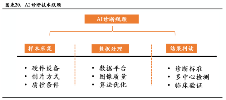 病理报告ai是什么意思：病理报告ln、ii、mvi的含义解析