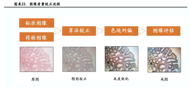 病理报告ai是什么意思：病理报告ln、ii、mvi的含义解析