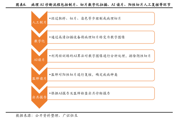 病理报告ai是什么意思：病理报告ln、ii、mvi的含义解析