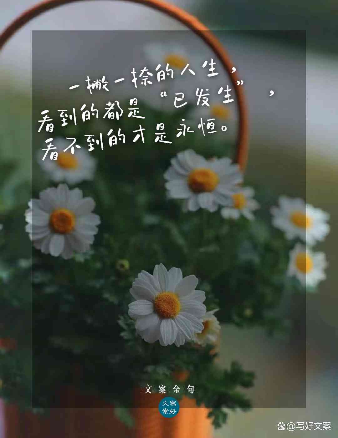 精选文案金句：汇聚经典与创意的动人句子