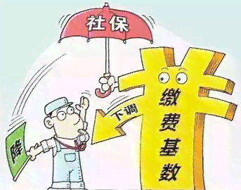 超过多大年龄不能上工伤保险：详解参保年龄上限及购买限制