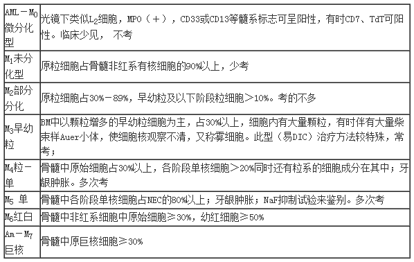 全面指南：撰写高效授信报告的步骤与关键要点，解决所有授信评估难题