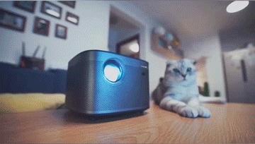 二次元AI绘画猫咪文案怎么写：打造独特猫绘创意指南