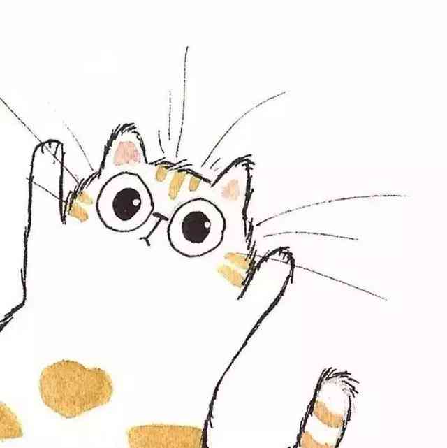 二次元猫咪插画：头像素材与画法     
