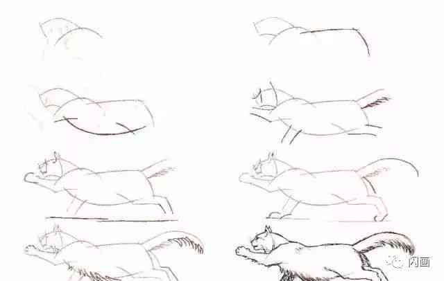 二次元猫咪简笔画教程：全龄适用，轻松掌握绘画技巧与创意设计