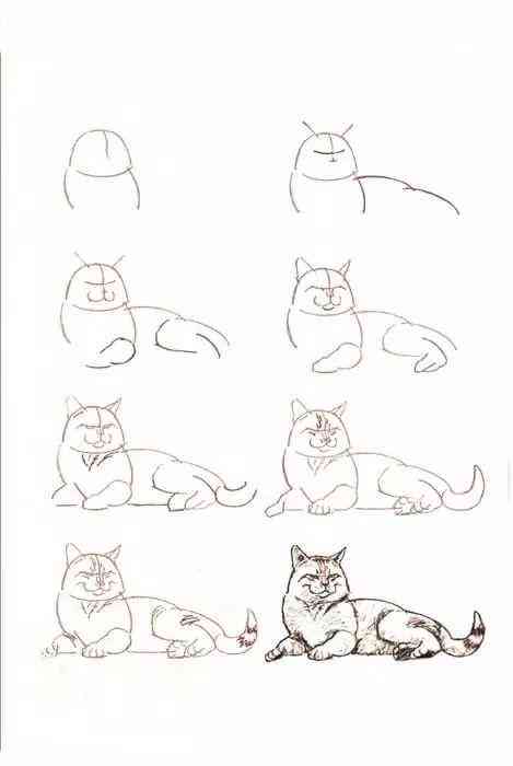 二次元猫咪简笔画教程：全龄适用，轻松掌握绘画技巧与创意设计