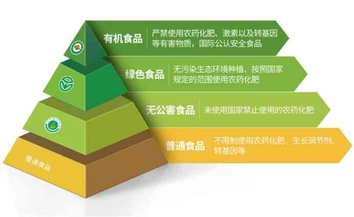 胃镜报告AI期什么意思：AB 与AB区别及S期解析