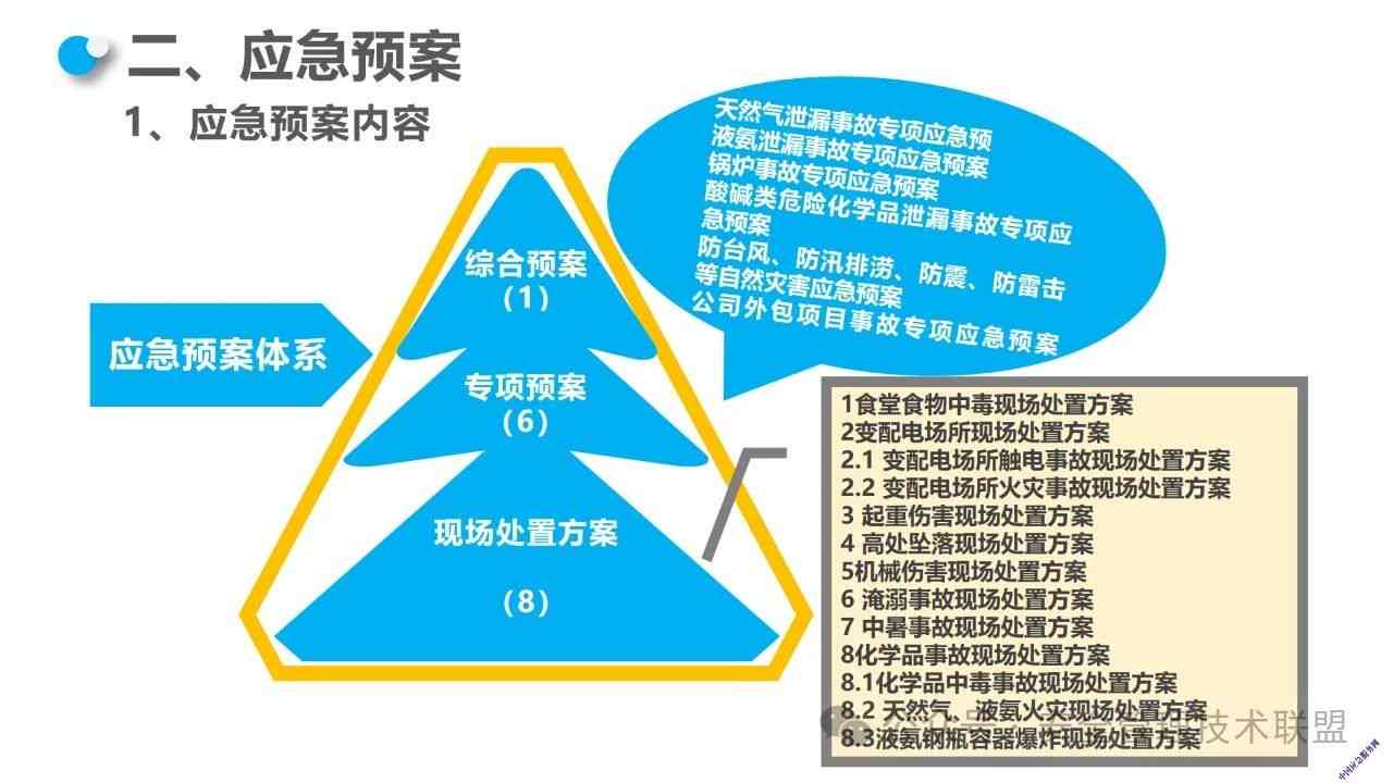 紧急状态下的专项项目界定与实指导