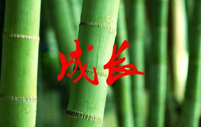 AI智能辅助：一键生成全面述职报告，免费解决职场报告撰写难题