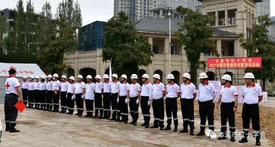 ai脚本怎么写：2021脚本编写与使用教程及插件应用指南