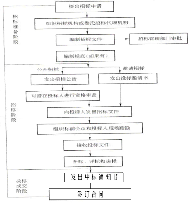 全面招投标流程汇报及项目管理关键要点解析材料