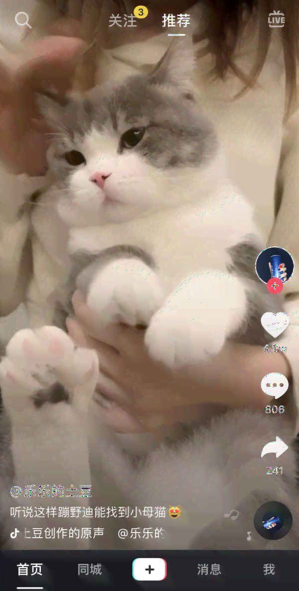 抖音小猫ai变身文案是什么