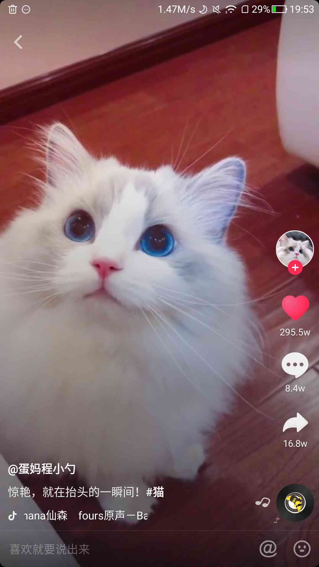 抖音小猫ai变身文案是什么
