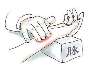 AI中医智能辩证系统综合性能评估与实验研究报告