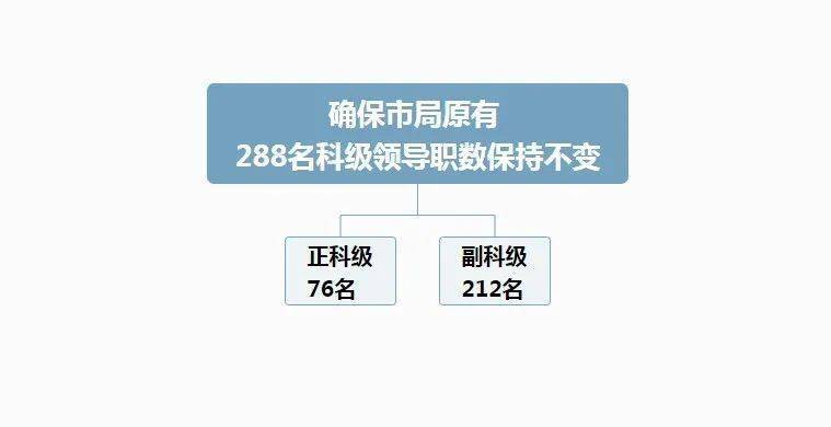 专门写报告的：部门、人员、军人及房间全解析
