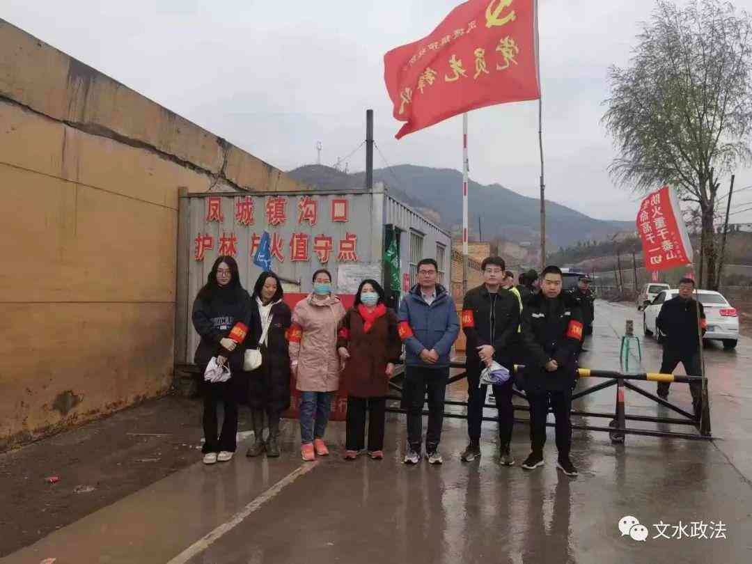 探讨交通肇事刑事责任：公了流程的复杂性与挑战