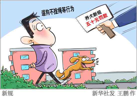 居民住宅开门引发意外：事故责任如何界定与分担