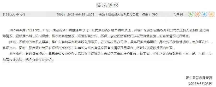 深度解析：澎湃新闻原创撰写攻略，全面涵用户关注热点与相关问题解析
