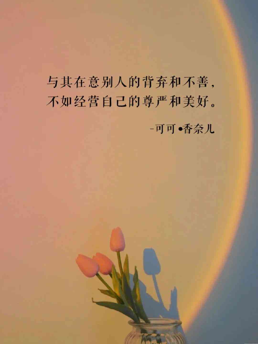 深度解析：抖音AI文案工具大比拼，一键提升视频热度与互动率