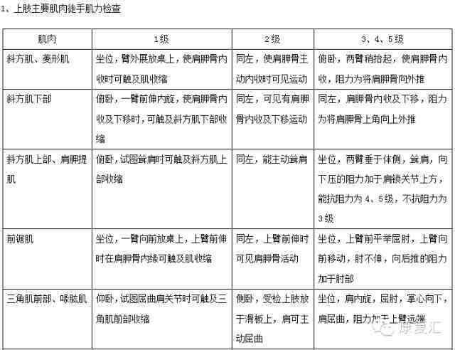 强制性脊椎炎工伤等级认定全解析：申请流程、评定标准与补偿待遇一览