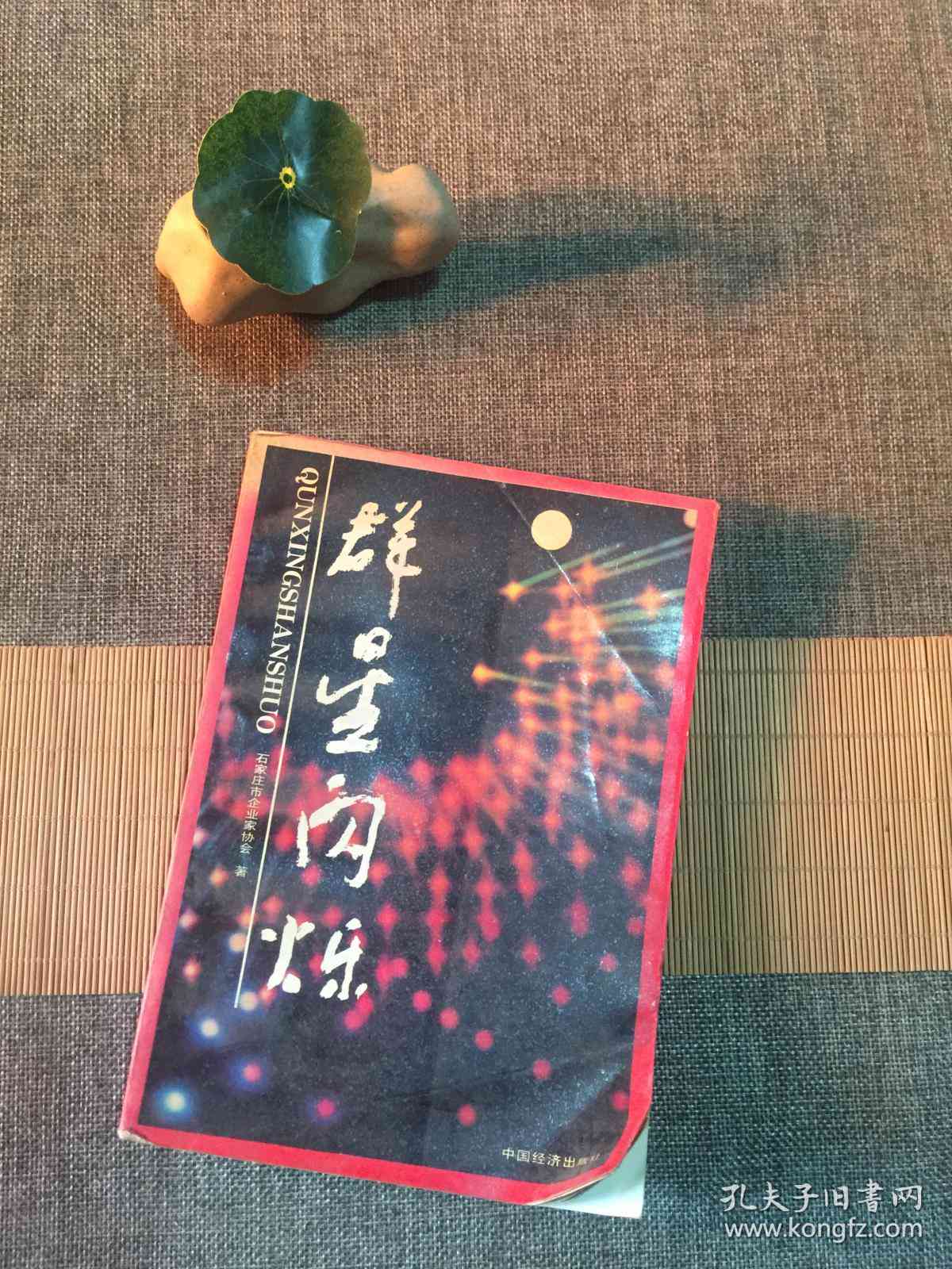 星辉妙语：闪闪语录精选集