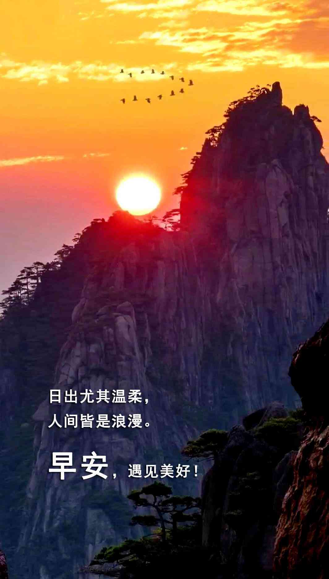 全方位解读：闪闪说说涵热门话题与深度解析