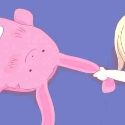 可爱的猫的文案：创意短句与精选句子汇编