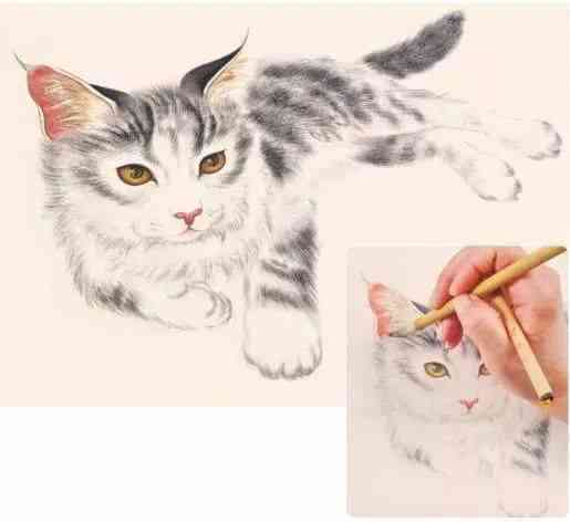 国宝猫绘画艺术展示与教程分享：从入门到精通，一次性掌握猫绘画技巧