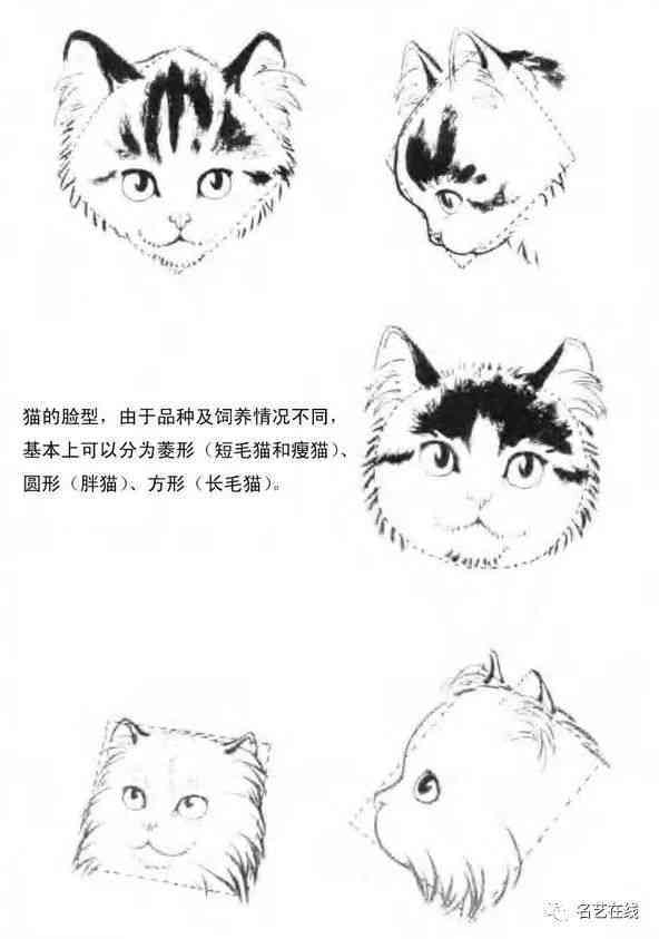 国宝猫绘画艺术展示与教程分享：从入门到精通，一次性掌握猫绘画技巧