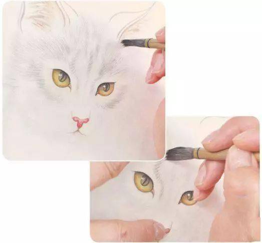 国宝猫绘画艺术展示与教程分享：从入门到精通，一次性掌握猫绘画技巧