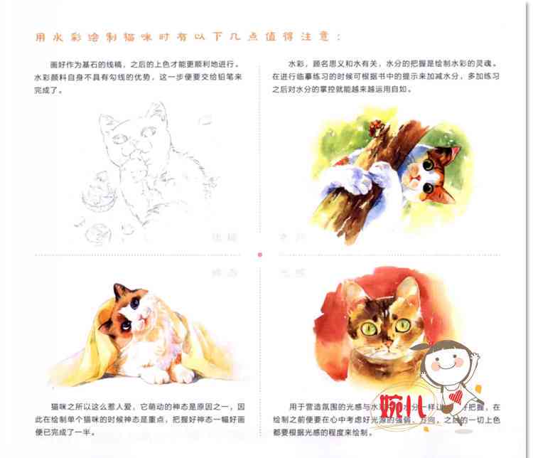 国宝猫绘画艺术展示与教程分享：从入门到精通，一次性掌握猫绘画技巧