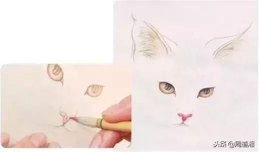 国宝猫绘画艺术展示与教程分享：从入门到精通，一次性掌握猫绘画技巧