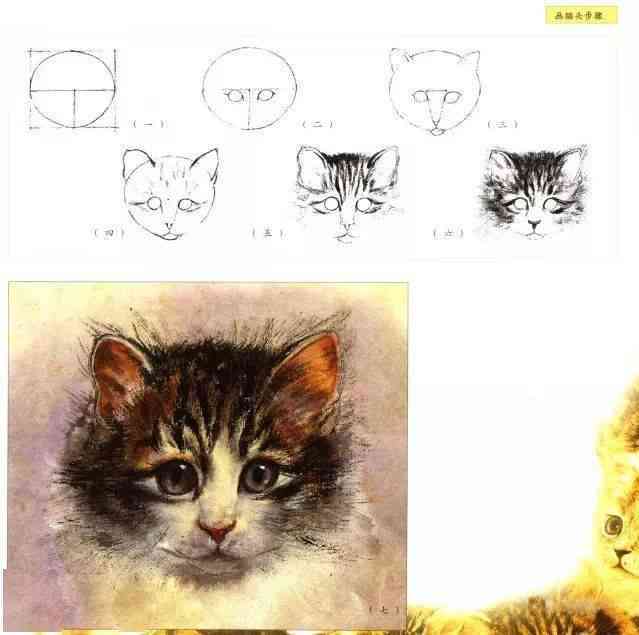 国宝猫绘画艺术展示与教程分享：从入门到精通，一次性掌握猫绘画技巧