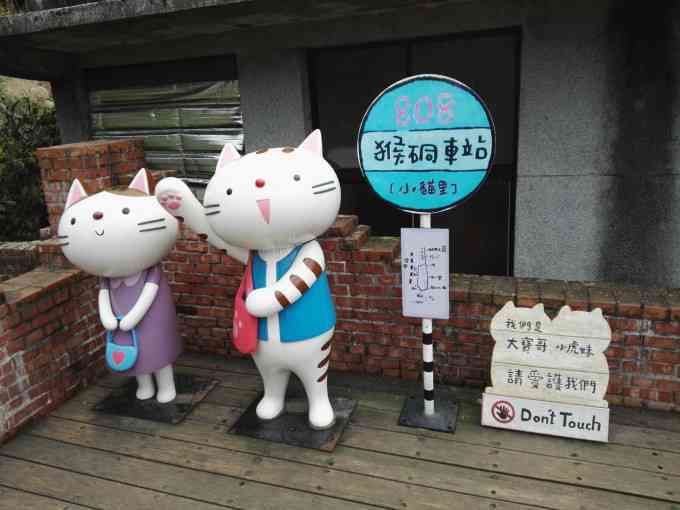 猫绘画如何推荐：作品精选、朋友分享与话题创建指南
