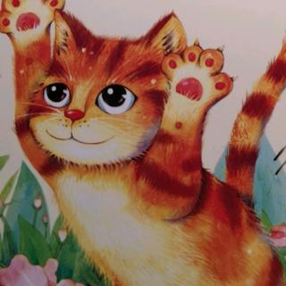 猫绘画如何推荐：作品精选、朋友分享与话题创建指南